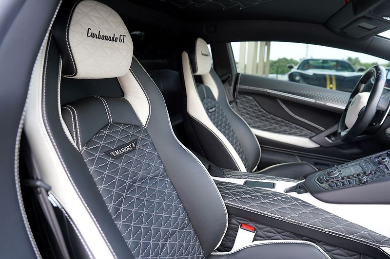 Lamborghini Aventador (2014) Carbonado GT 1600 PS, - fotka 27 z 35