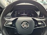 Škoda Octavia (2021) 2.0 TDI Odpočet DPH TOP VYBAVA - náhled 23