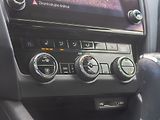 Škoda Octavia (2017) ČR 2.0TDI 135KW SCOUT - náhled 24