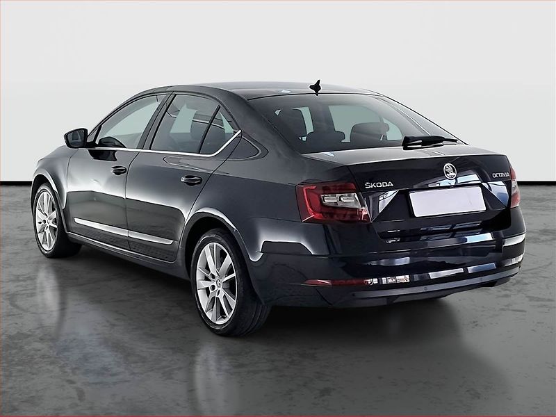 Škoda Octavia (2019) Style 2.0 TDI, Kůže, Navi - fotka 4 z 18