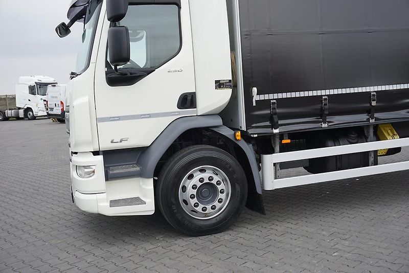 DAF LF (2019) 290 / E 6 / FIRANKA + WINDA /  - fotka 25 z 44