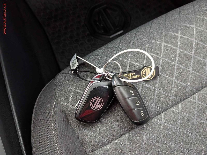 MG ZS (2025) 1.5 Hybrid, ČR, AT, park - fotka 16 z 16