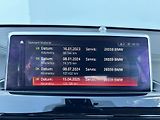 BMW X1 (2022) 2.0D 140kW, X-Drive Alu Kola!  - náhled 31