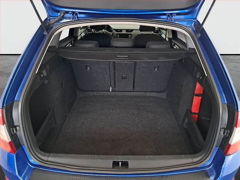 Škoda Octavia (2016) 2.0 TDI, 4X4, Automat - fotka 13 z 17