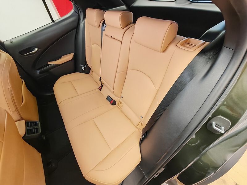 Lexus UX 300h F Sport Design 300H - fotka 18 z 33