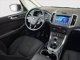 Ford S-MAX (2020) 2.0 EcoBlue, Navi, Tempomat - náhled 7