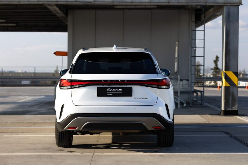 Lexus RX 450h plus 450H+ 2,5 PHEV EXECUTIVE PLUS - fotka 25 z 29