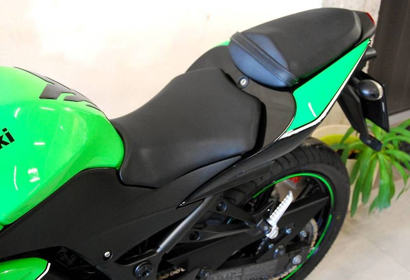 Kawasaki Ninja 250 R (2010) Ninja 250R - hezký stav, ŘP sk - fotka 16 z 20