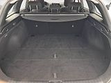 Kia Ceed (2023) Spin 1.0 T-GDI, SPIN, DPH - náhled 13