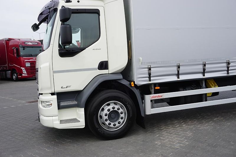 DAF LF (2019) 290 / E 6 / FIRANKA + WINDA /  - fotka 18 z 44