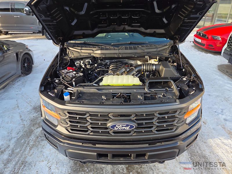 Ford F-150 (2025) 2025 F150 Regular 5,0 V8 - fotka 10 z 10