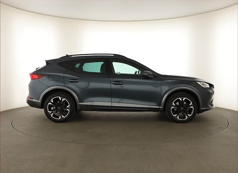 Cupra Formentor (2021) 2.0 TSI 4Drive - fotka 6 z 18