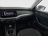 Škoda Octavia (2021) Ambition 2.0 TDI, Tempomat - náhled 8