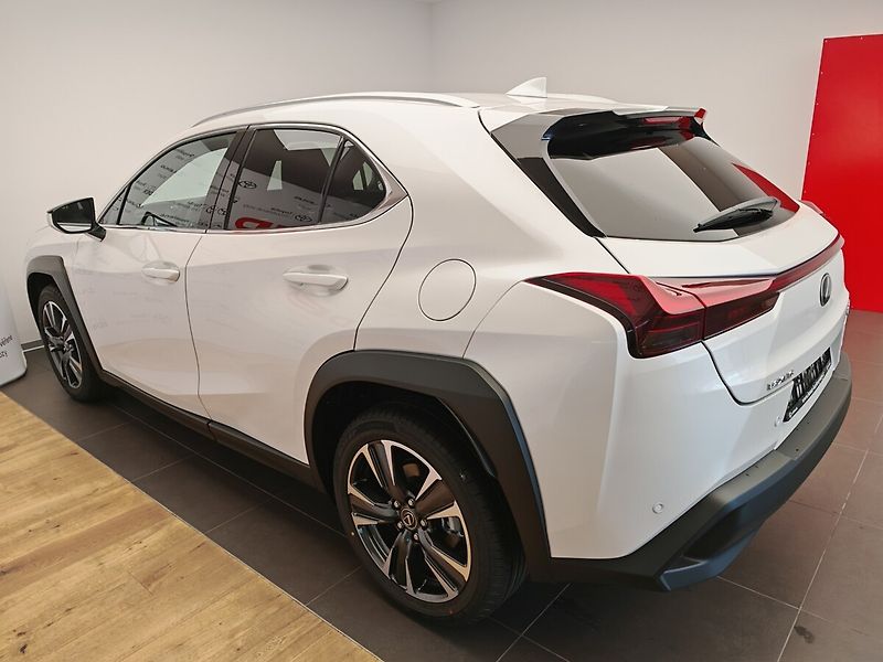 Lexus UX 300h Business TECH - fotka 6 z 36