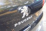 Peugeot 3008 (2013) 1.6HDi,Hybrid 4,AUT,4x4,Panora - náhled 16