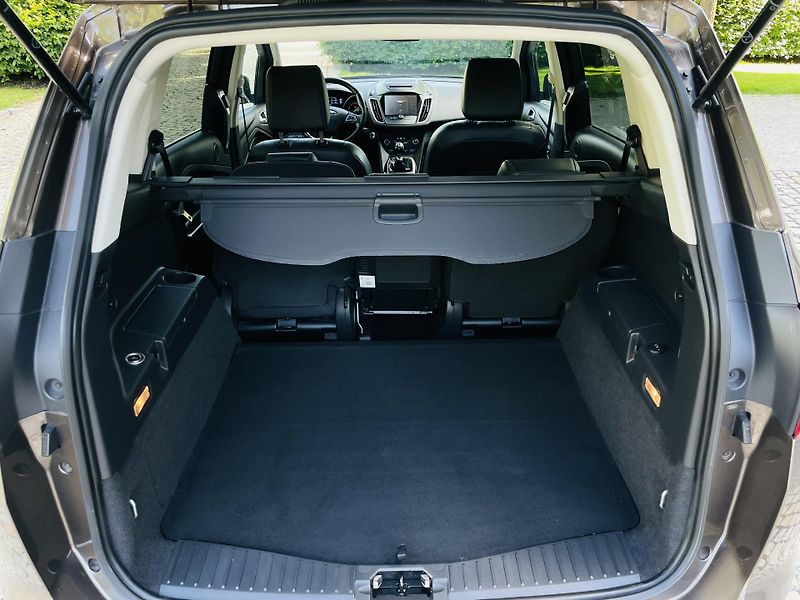 Ford Grand C-MAX 2.0TDCi MAN TAŽNÉ 1MAJITEL - fotka 18 z 50