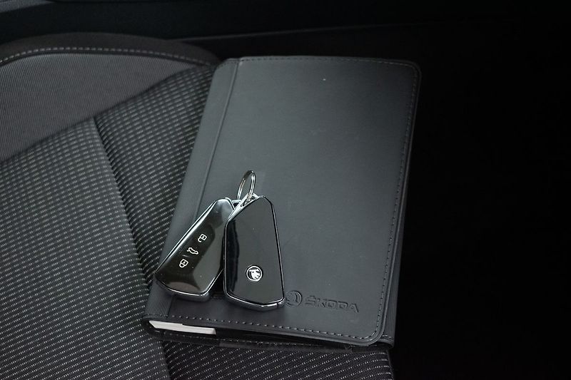 Škoda Octavia 2.0TDI DSG*ACC*MIRROR-LINK*DPH - fotka 28 z 35
