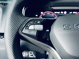 Škoda Karoq (2025) 1.5TSI*SPORT*360*5.LET.ZÁR - náhled 20
