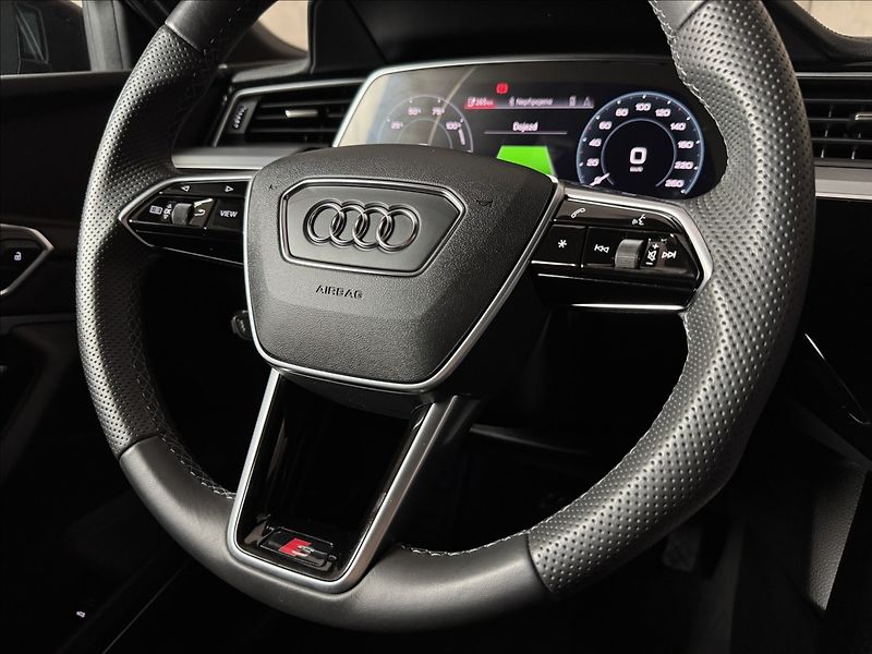 Audi e-tron 300kW S-Line exclusive - fotka 45 z 47