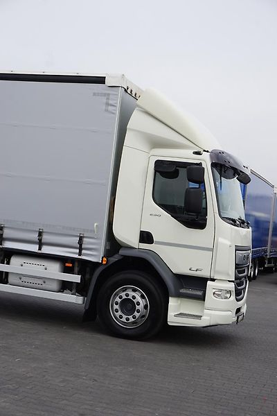 DAF LF (2019) 290 / E 6 / FIRANKA + WINDA /  - fotka 29 z 44