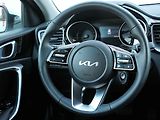 Kia XCeed (2025) 1.6 T-GDi, 1.maj,ČR, AT - náhled 11