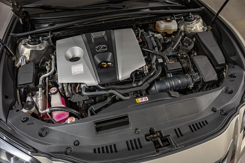 Lexus ES 300h (2020) Luxury, LED, 360, DPH - fotka 25 z 27