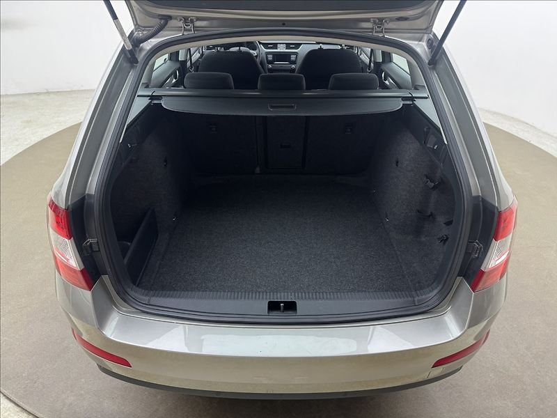 Škoda Octavia 1,6 TDi DPH KLIMA SENZORY ČR - fotka 30 z 30