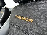 Ford F-150 TREMOR - náhled 35