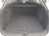 Volkswagen Golf (2021) 1.5 TSI - náhled 13