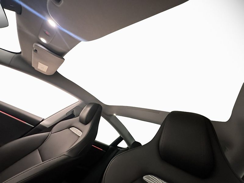 Tesla Model 3 Performance AWD - fotka 13 z 27