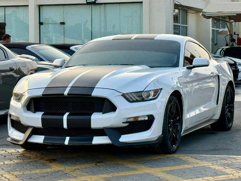 Ford Mustang (2017) Pro milovníky Ameriky - fotka 3 z 16