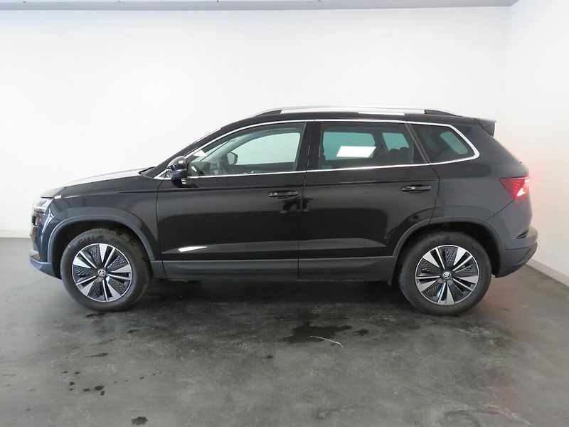 Škoda Karoq - fotka 3 z 25