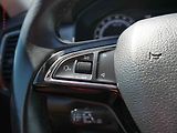 Škoda Kodiaq (2017) 2.0TDi 4x4, 7míst, ČR - náhled 13