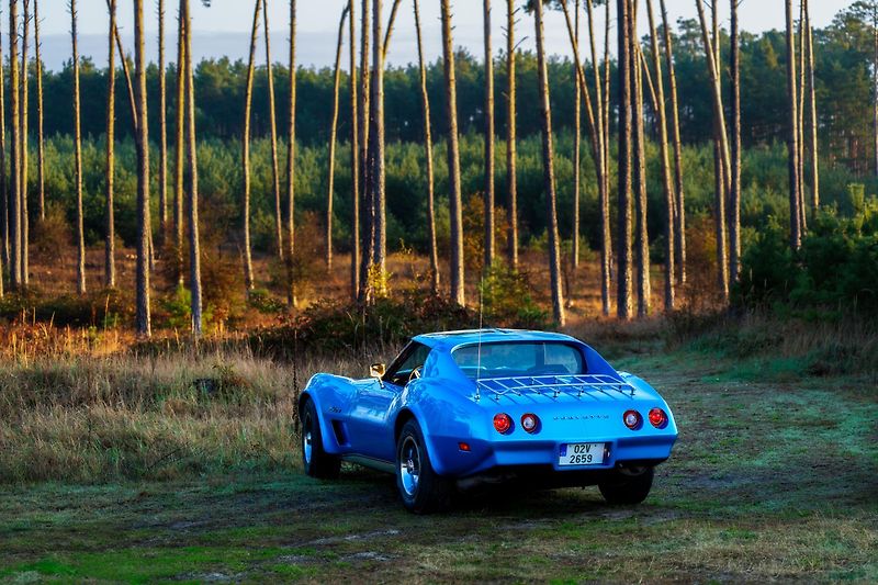 Chevrolet Corvette (1974) Corvette C3 L48 V8 5.7L - fotka 3 z 6
