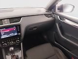 Škoda Octavia (2019) 2.0 TDI, 4X4, Automat - náhled 8