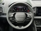 Škoda Karoq 1.5TSi DSG 150PS Matrix-LED V. - náhled 22