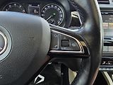 Škoda Fabia DSG 1.2TSI 81KW  PANORAMA - náhled 26