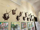 Zámek v Bravanticích na Novojičínsku zahájí v sobotu 7. června návštěvnickou sezonu s expozicí autíček, která je vystavována vůbec poprvé, 6. 6. 2025.