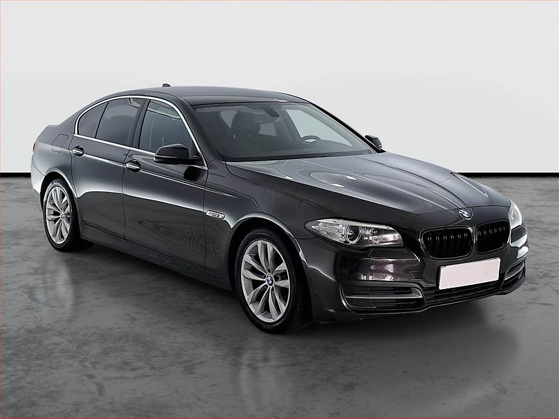 BMW Řada 5 (2013) Luxury Line 520d, Navi - fotka 1 z 19