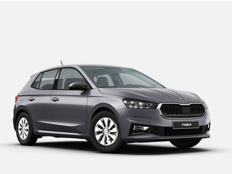 Škoda Fabia Easy 1,0TSI 70kW - fotografie inzerátu