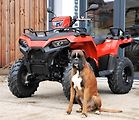Polaris Sportsman 570 EPS (2026) ORANGE - náhled 10