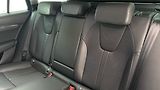 Škoda Octavia 2.0 TDI DSG Style Combi - náhled 16