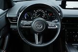Mazda MX-30 e-Skyactiv, ACC, HUD, Kamera - náhled 17