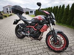 Yamaha MT-07 Moto Cage (2015) - fotografie inzerátu