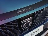 Peugeot E-3008