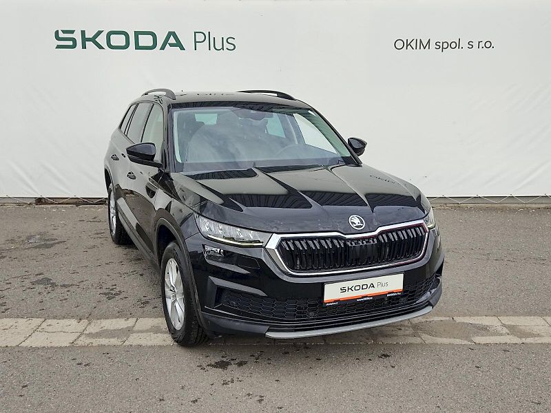 Škoda Kodiaq (2022) Ambition 2,0 Tdi 110 Kw DSG - fotka 31 z 35