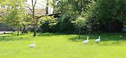 Kouzelný mlýn v Hradčanech otevírá muzejní expozici zapomenutých a ztracených motocyklů a strojů.