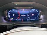 Škoda Kodiaq 2,0 TDI 147kW DSG 4x4 L&K - náhled 11