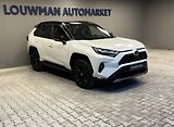 Toyota RAV4 2.5 Hybrid AT SELECTION SKYVIE - náhled 16