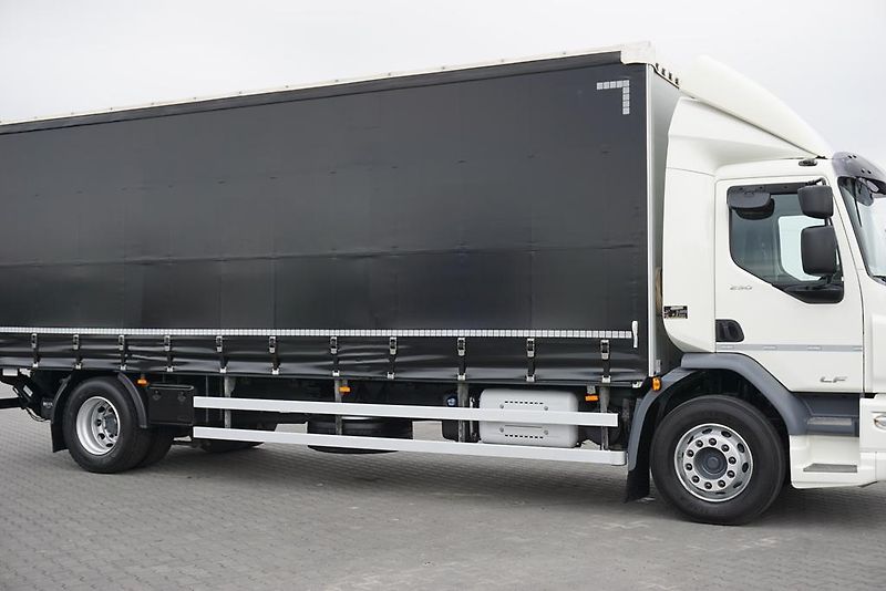DAF LF (2019) 290 / E 6 / FIRANKA + WINDA /  - fotka 16 z 44